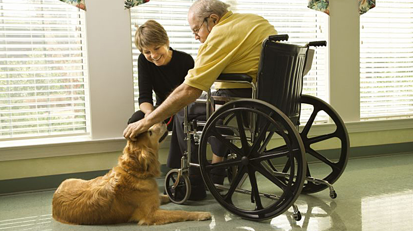 Image of Heart2Heart Volunteer with Pet and Senior